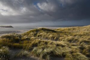 Texel