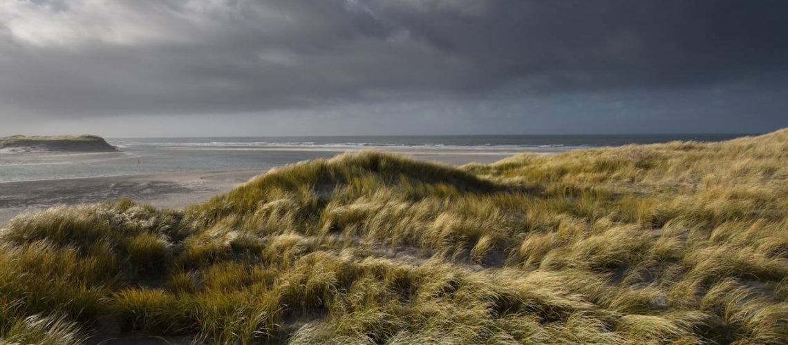 Texel